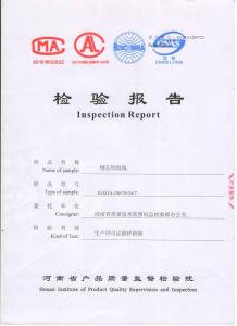 檢驗報告1
